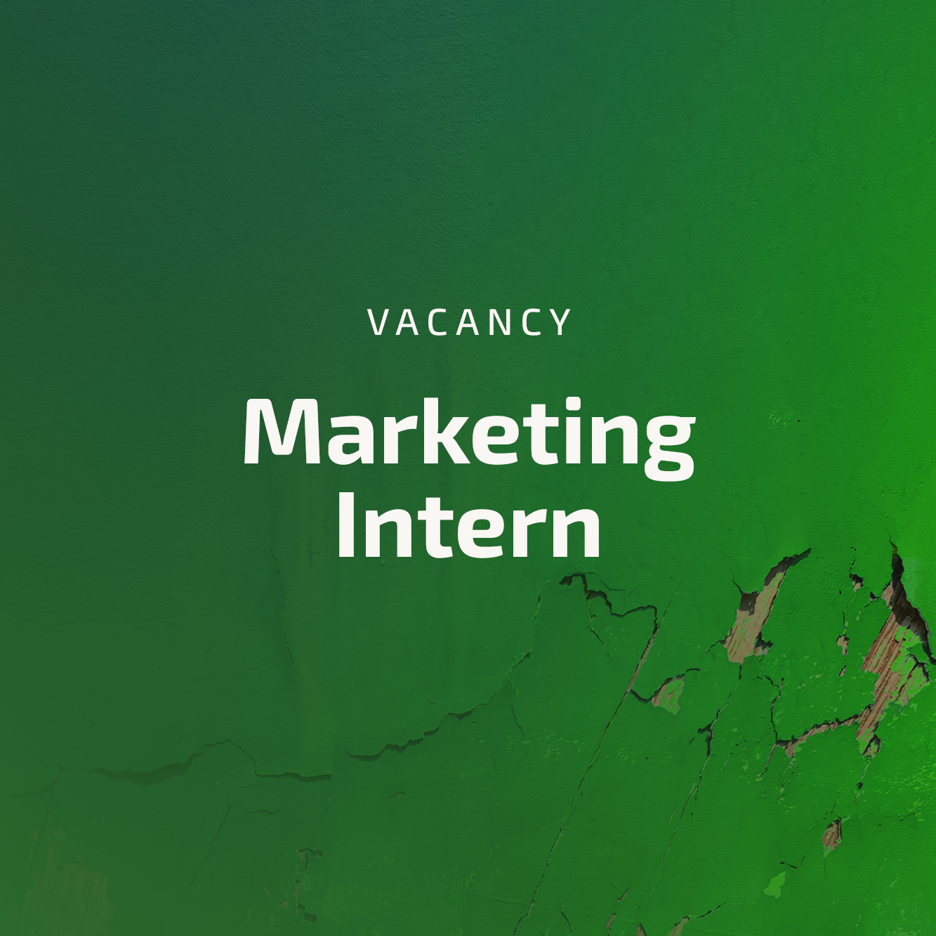 vacancy marketing intern