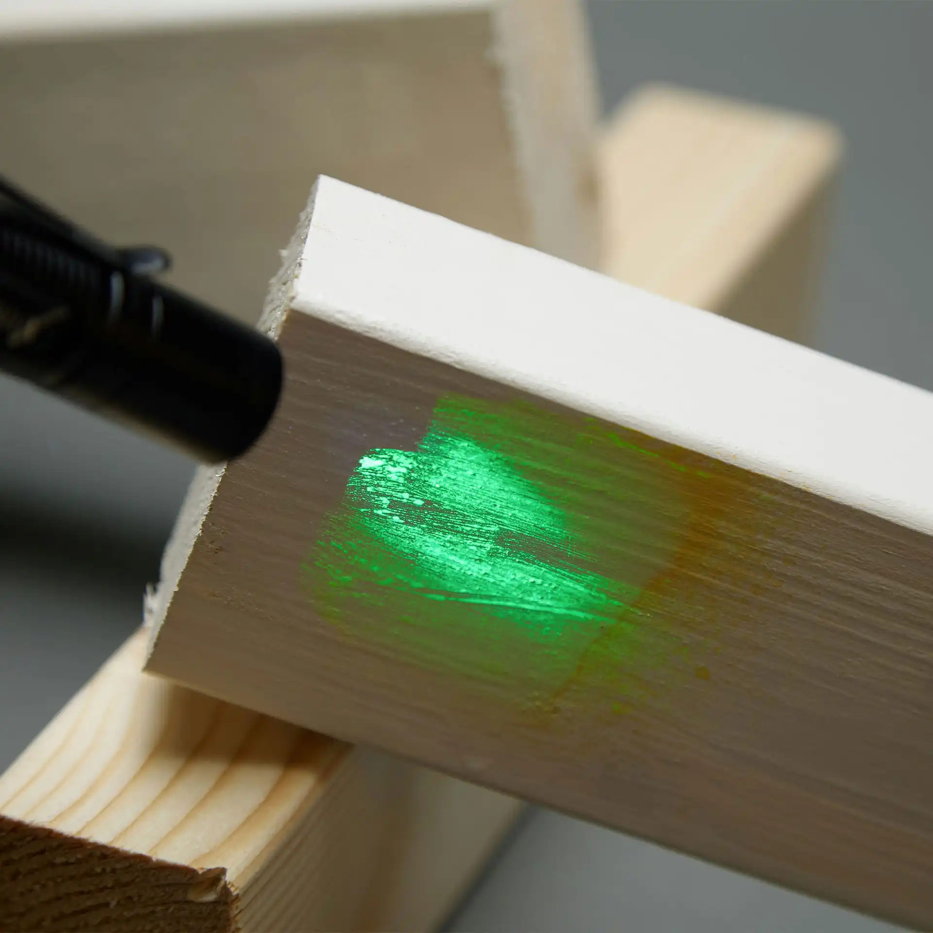A close up on a flashlight shining on sprayed Reagent on a painted log of wood